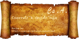 Csernák Antónia névjegykártya