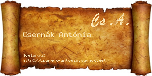 Csernák Antónia névjegykártya