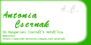 antonia csernak business card